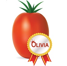 Tomate Olivia Grape