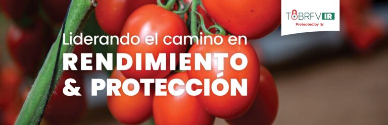 ToBRFV en México: del desafío a la oportunidad con la estrategia de Rendimiento y Protección de Hazera
